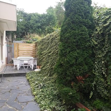 Apartamento Con Pequeno Jardin En El Centro Ferrol Bagian luar foto